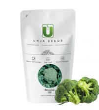 Broccoli Green Sprouting 10 grams